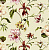 Обои Jaima Brown Charleston Home