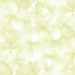 Обои Andrea Rossi Spectrum Boom