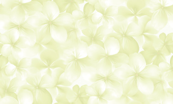 Обои Andrea Rossi Spectrum Boom