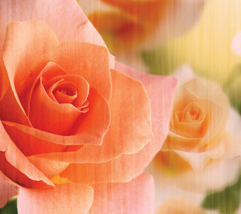 Фрески/Панно Loymina Illusion 2