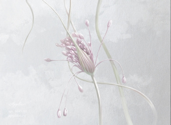 Фрески/Панно Applico