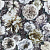 Обои Designers Guild Minakari