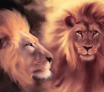 Фрески/Панно Loymina Illusion 2