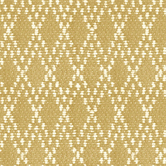 Обои Parato Amazzonia