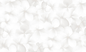 Обои Andrea Rossi Spectrum Boom