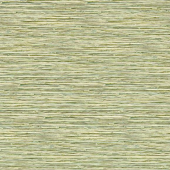 Обои Clarke & Clarke  Breegan Jane