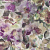 Обои Designers Guild Edit Florals