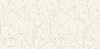 Обои Alessandro Allori Argiano