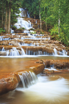 Фрески/Панно ORTOGRAF