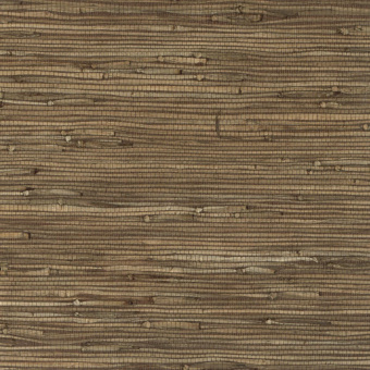 Обои Yate Into the Wild