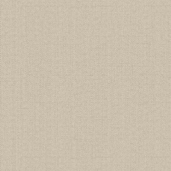 Обои Alessandro Allori Bruni