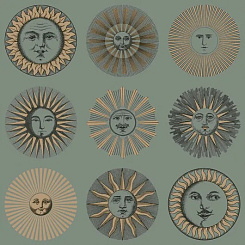 Обои Cole & Son Fornasetti Senza Tempo II