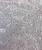 Обои Decori& Decori Capolavoro