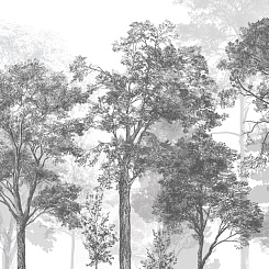 Фотообои Craft Design Lab Креатив