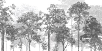 Фотообои Craft Design Lab Креатив