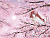 Фрески/Панно ORTOGRAF Free time 2