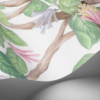 Обои Cole & Son Selection of Hummingbirds