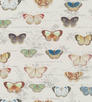 Обои John Derian Picture Book II