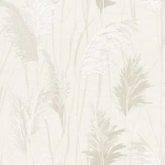 Обои Alessandro Allori Giorgio