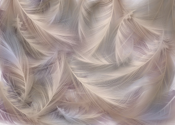 Фотообои Artmegahome Перья