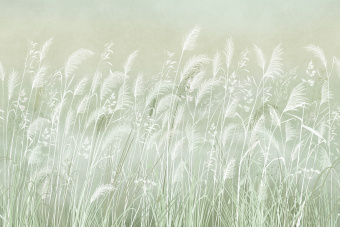 Фрески/Панно ORTOGRAF Vento