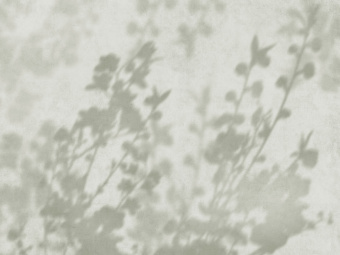 Фрески/Панно ORTOGRAF Vento