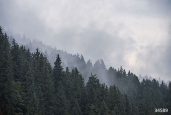 Фрески/Панно ORTOGRAF