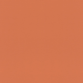 Обои Rasch Allegretto