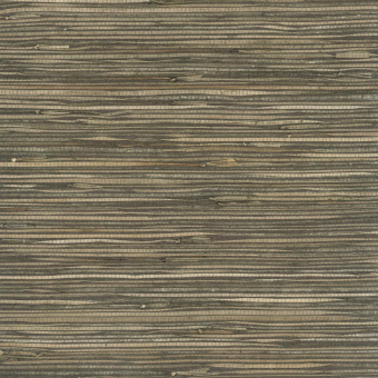 Обои Yate Into the Wild