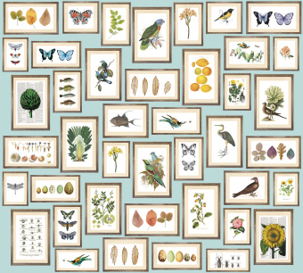 Фрески/Панно ORTOGRAF