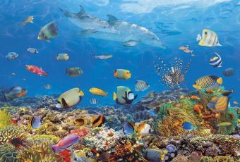 Фрески/Панно ORTOGRAF