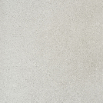 Обои Alessandro Allori Bodega