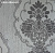 Обои SanGiorgio Texwall Line - Victoria