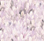 Обои Loymina Etude