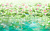 Фрески/Панно RFresco AQUA