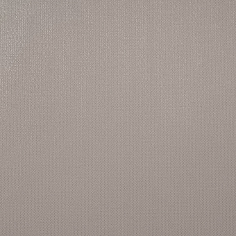 Обои Alessandro Allori Rebecca