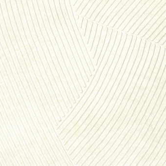 Обои Elitis Matieres a Reflexions