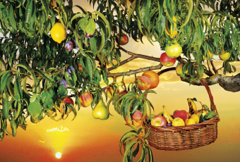 Фрески/Панно ORTOGRAF Кухня