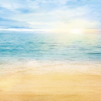 Фрески/Панно ORTOGRAF