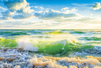 Фрески/Панно ORTOGRAF