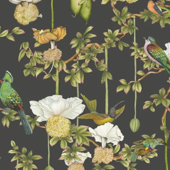 Обои Cole & Son Ardmore – Baobab