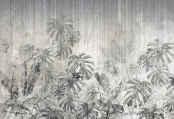 Фотообои My Fresco Природа