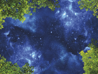 Фрески/Панно ORTOGRAF Небо