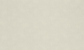 Обои Rasch Alghero