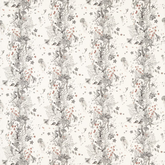 Ткань Clarke & Clarke Mythica