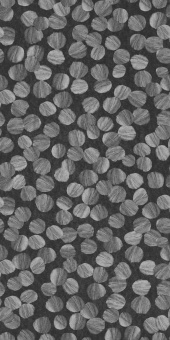 Обои Coordonne Artisan by Bodo Sperlein