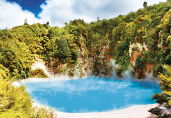 Фрески/Панно ORTOGRAF