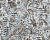 Обои AS Creation GREENERY