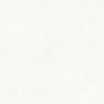 Обои Galerie Natural FX2