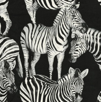 Обои Dolce&Gabbana Dolce&Gabbana №1